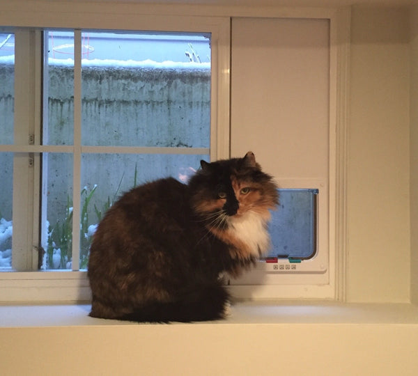 Solid PVC Base Cat Door Window Insert