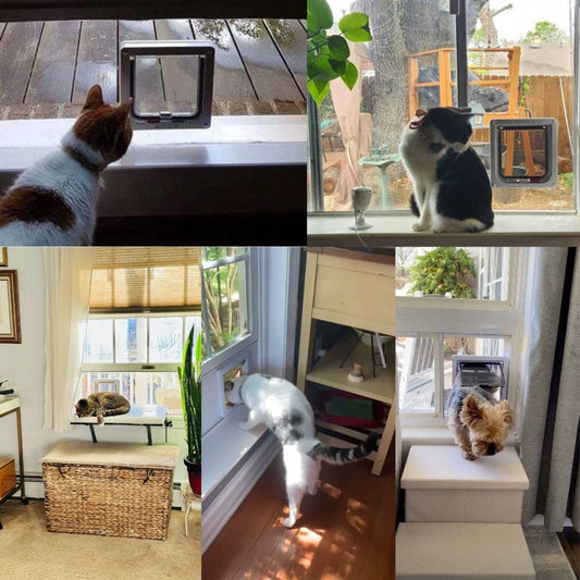 Plexiglass 1/4" Cat Door Window Insert | Vertical or Horizontal | Easy No-Tools Installation!