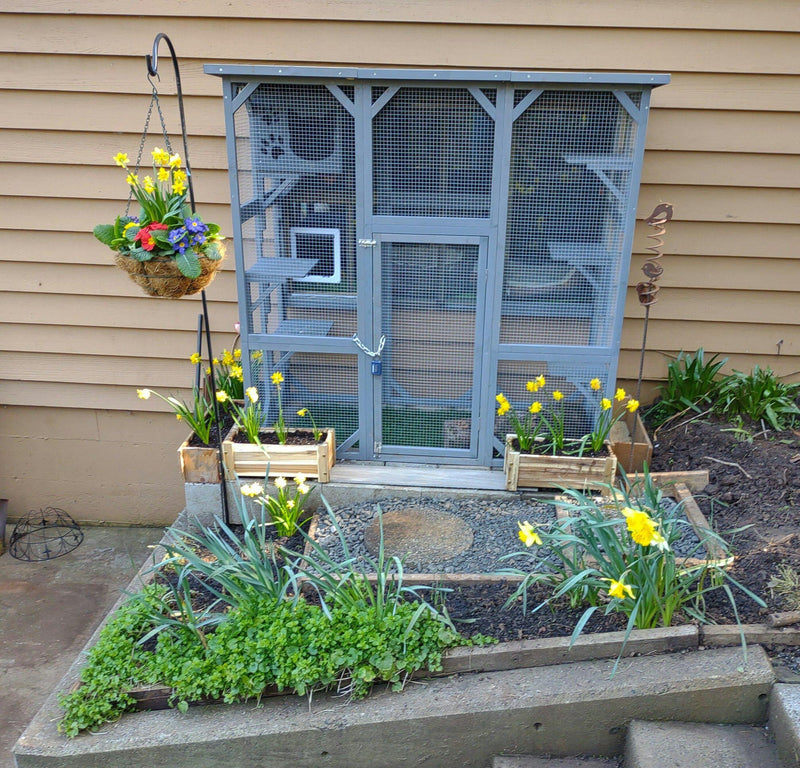 Garden catio