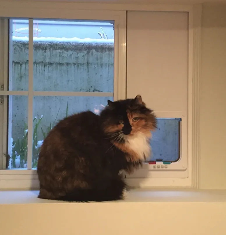 Solid PVC Base Cat Door Window Insert