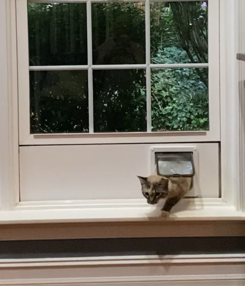 How to Install a Cat Window Insert | Step-by-Step Guide by Cat Flap Fe ...