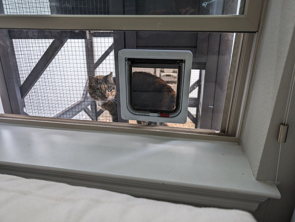 The Ultimate Guide to Choosing a Custom Cat Flap Window Insert (And Why It Matters for Your Home & Your Cat)