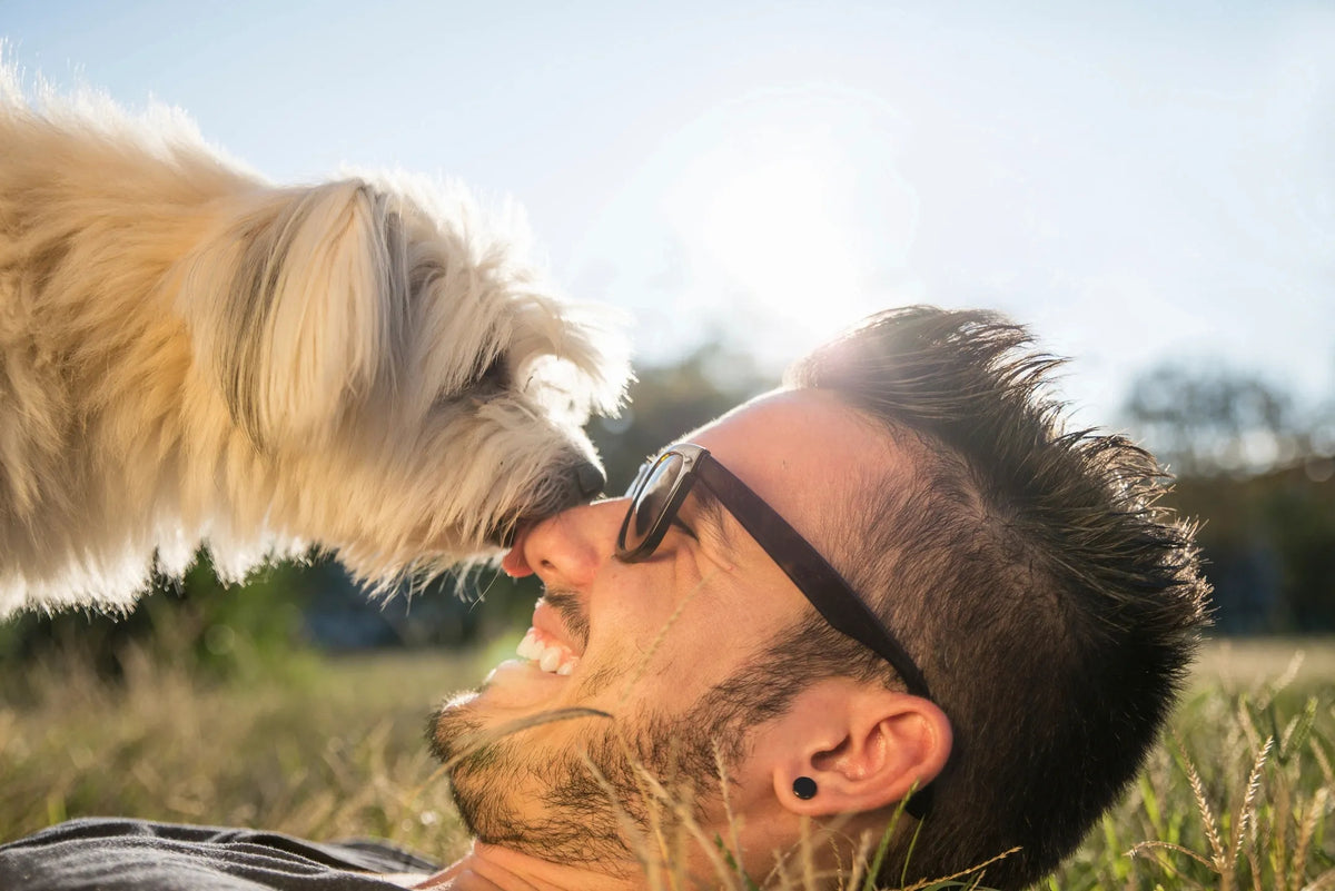 Man with dog. Dog licking man's face. Man is happy. 