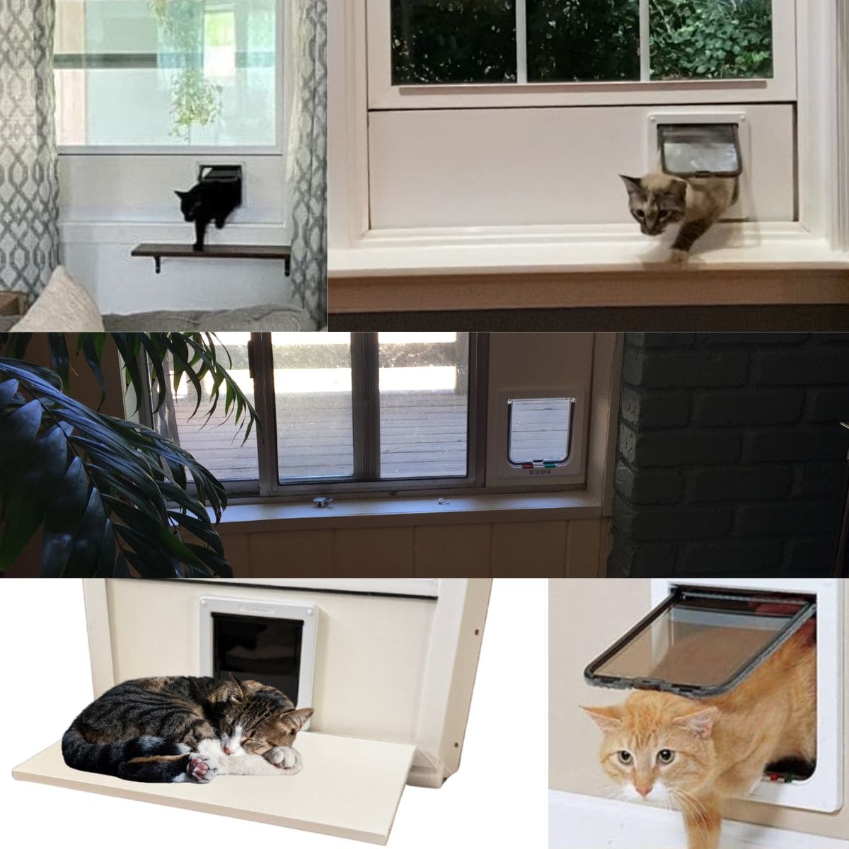 Cat Window Tree Insert Pet Cat & Dog Door Window Insert: Solid White Custom US-Made PVC Base ...
