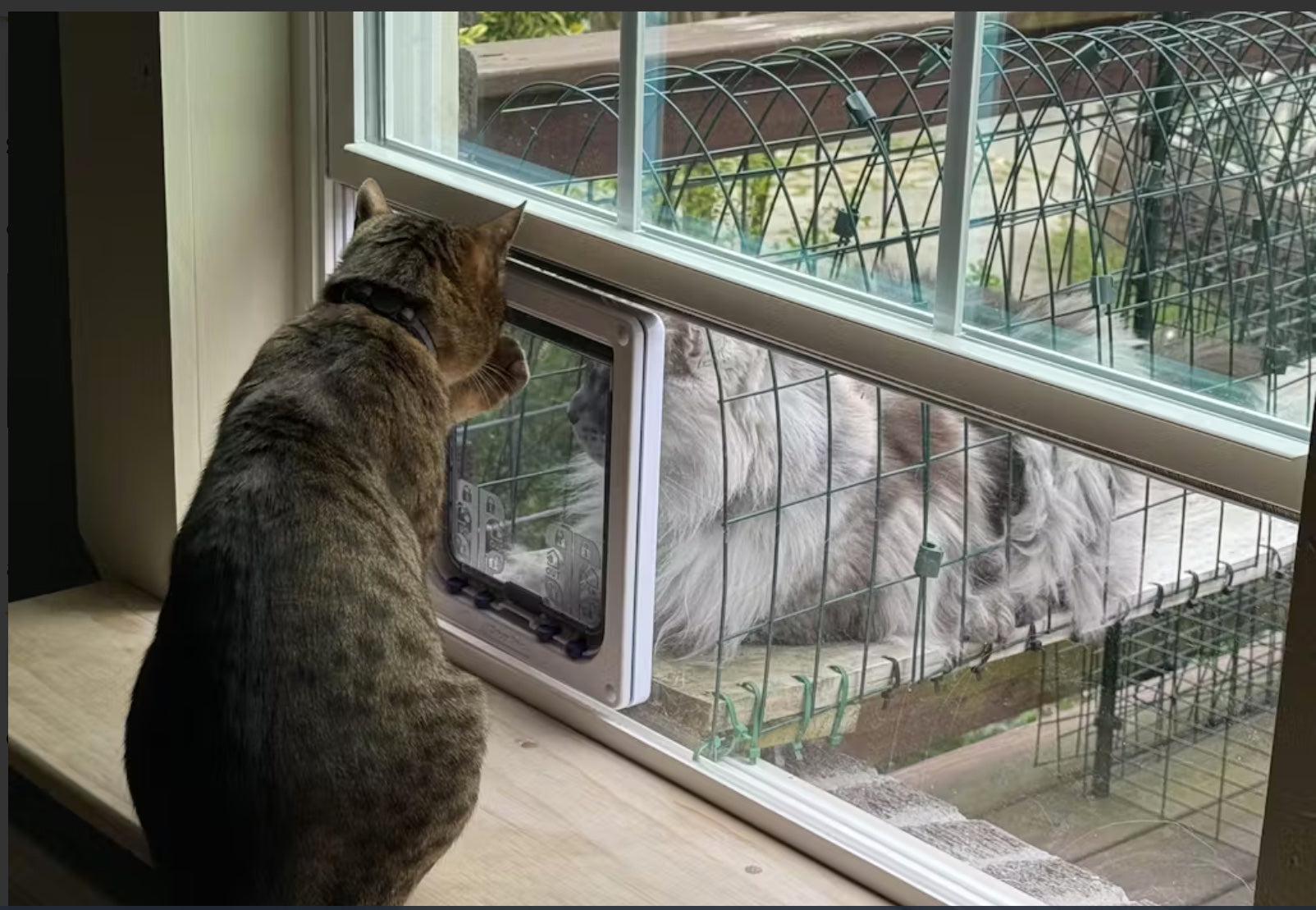 Cat Flap Fever Industries