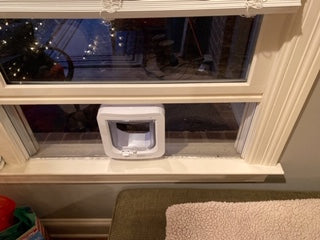 Microchip cat on sale door for window