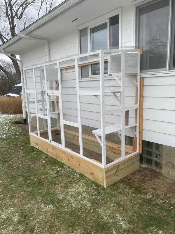 Video: cat using catio window insert