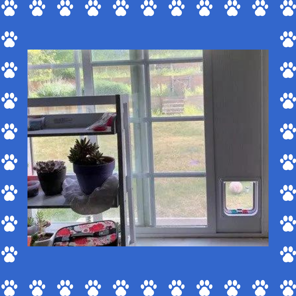 Cat Door Window Insert. Made with solid PVC base and locking flap ...