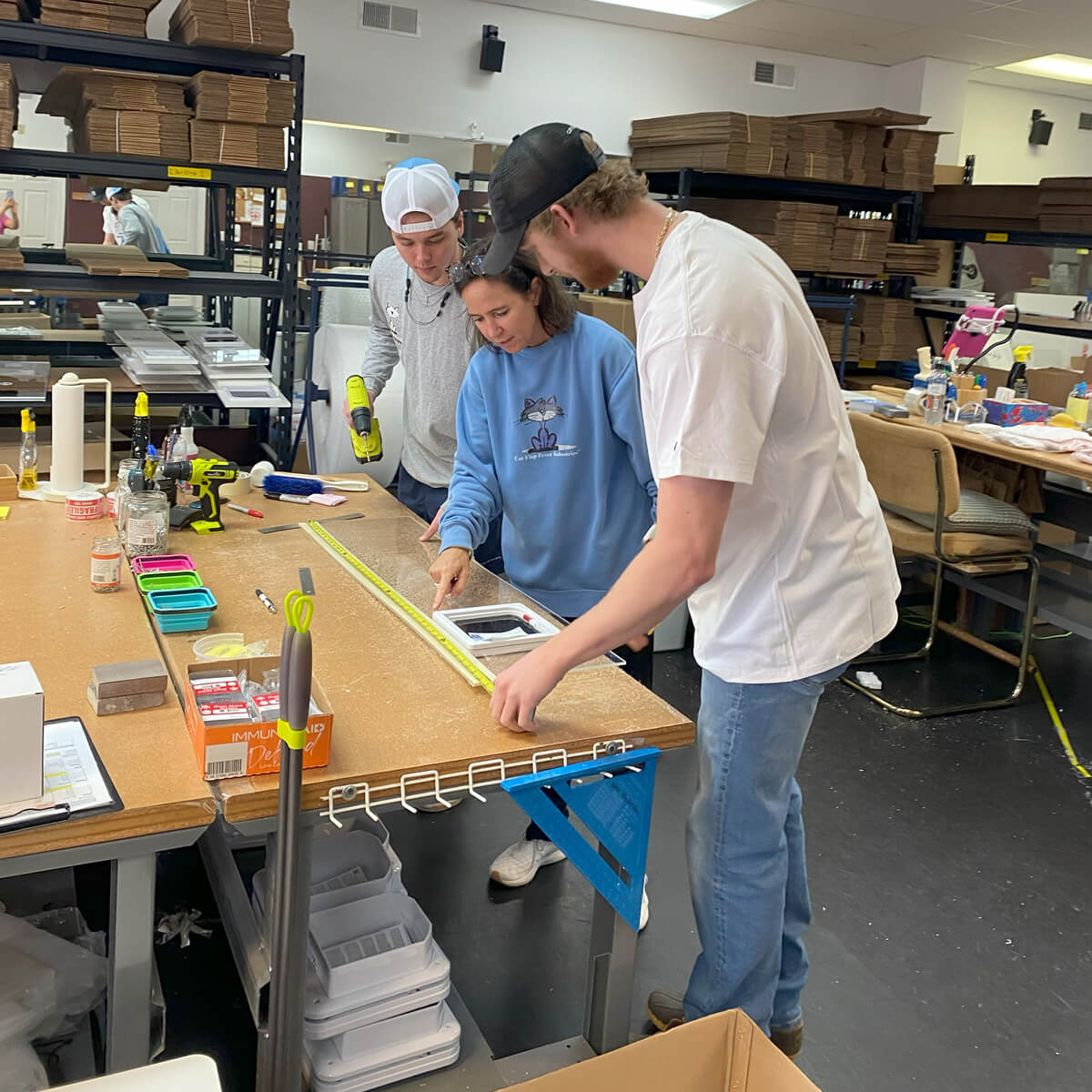 Premium Custom Cat Door Window Inserts: Crafted in Roswell, GA for Ultimate Comfort and Convenience!