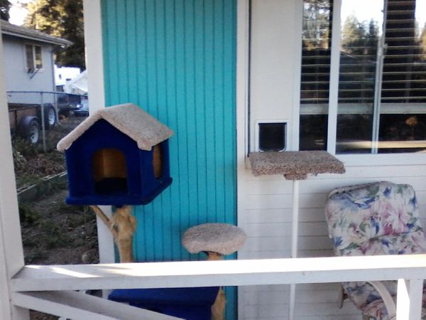 Cat clearance door house