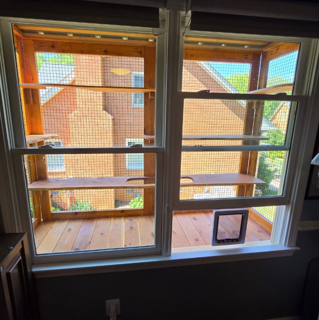View through windows into a catio