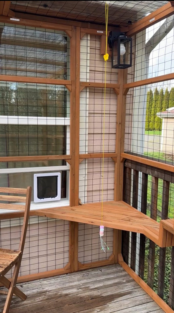 Cat using catio door