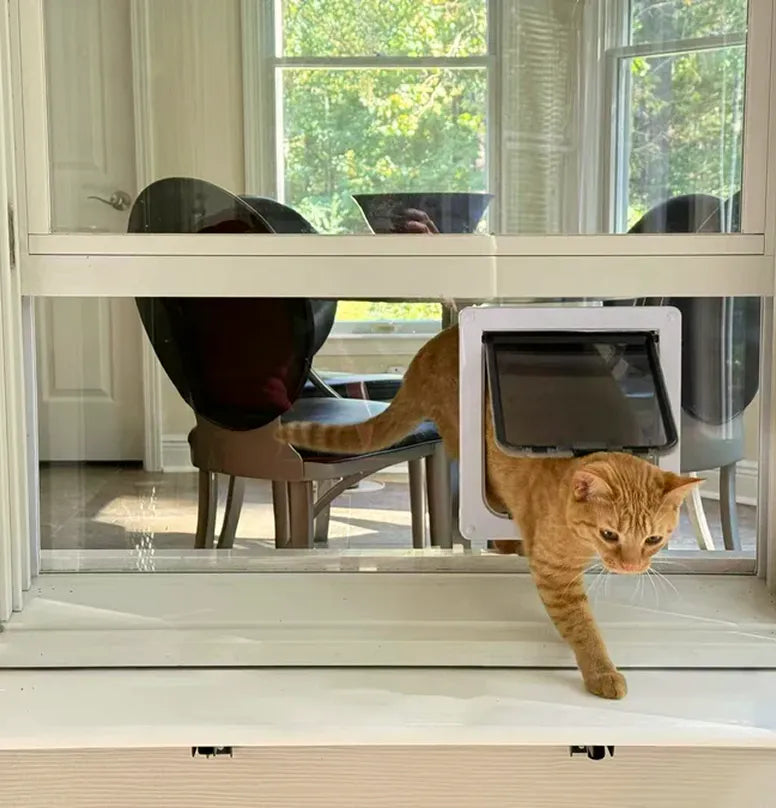 Plexiglass Cat Door Window Insert | Clear, Removable