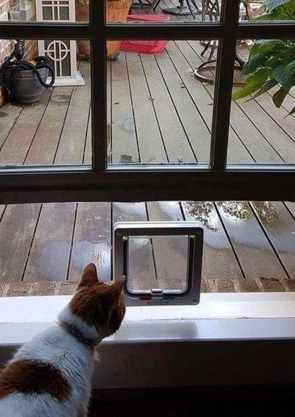 CAT DOOR WINDOW INSERT - BEAUTIFUL PLEXIGLAS BASE - FREE SHIPPING